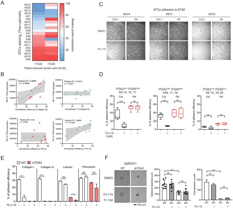 https://cdn.ncbi.nlm.nih.gov/pmc/blobs/2bc5/7541088/c6d5d57d0a61/elife-59442-fig5.jpg