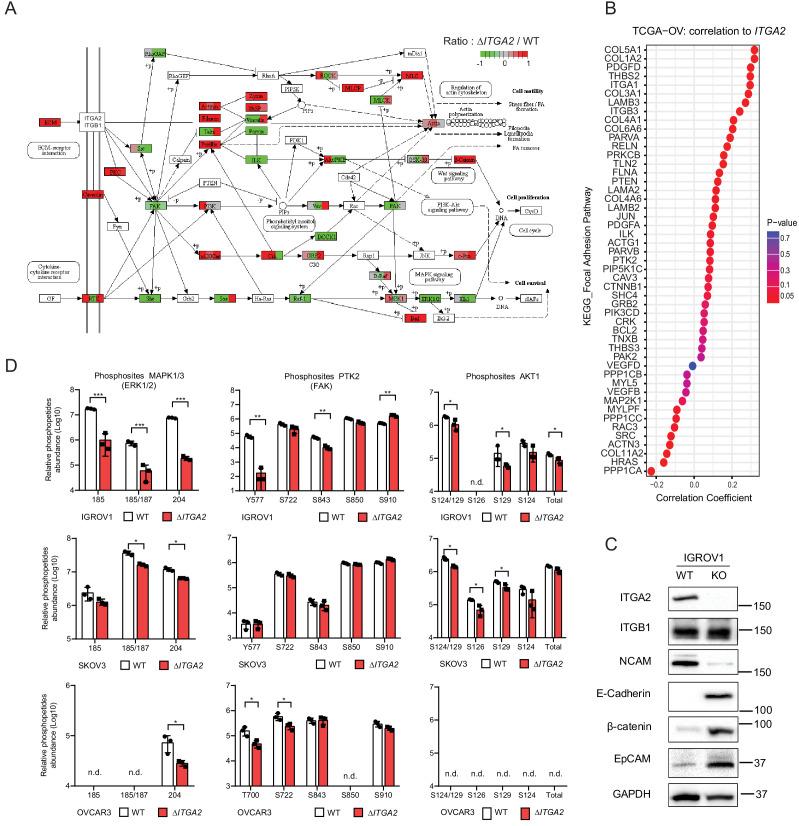 https://cdn.ncbi.nlm.nih.gov/pmc/blobs/2bc5/7541088/e73942940dd0/elife-59442-fig7-figsupp1.jpg