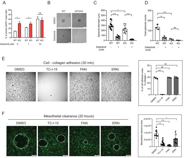https://cdn.ncbi.nlm.nih.gov/pmc/blobs/2bc5/7541088/f994775099a5/elife-59442-fig7-figsupp3.jpg