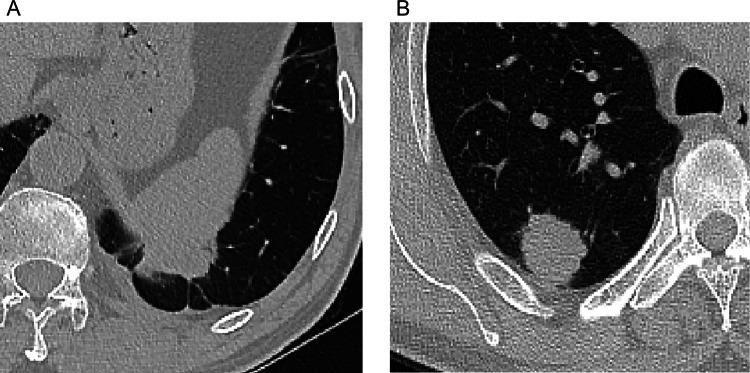 https://cdn.ncbi.nlm.nih.gov/pmc/blobs/2bc9/12084461/85a5eba65dc3/12672_2025_2548_Fig2_HTML.jpg