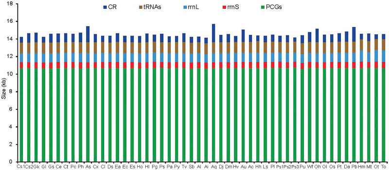 https://cdn.ncbi.nlm.nih.gov/pmc/blobs/2bca/9515440/1a07dbb01e22/fgene-13-974084-g001.jpg