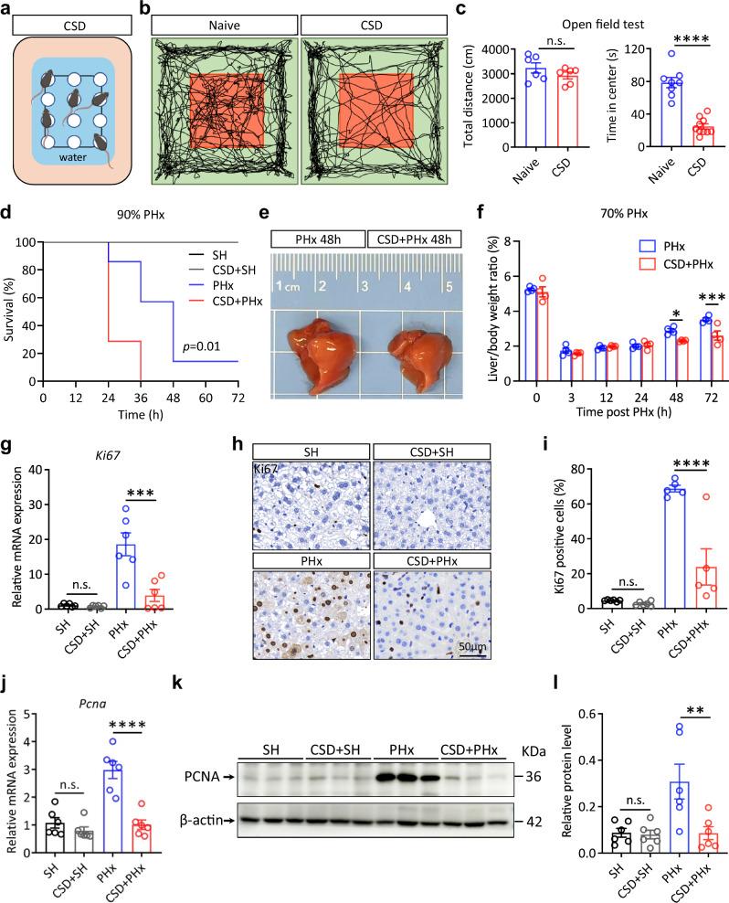 https://cdn.ncbi.nlm.nih.gov/pmc/blobs/2bcc/11605118/3eda8ec32bb3/41467_2024_54827_Fig1_HTML.jpg