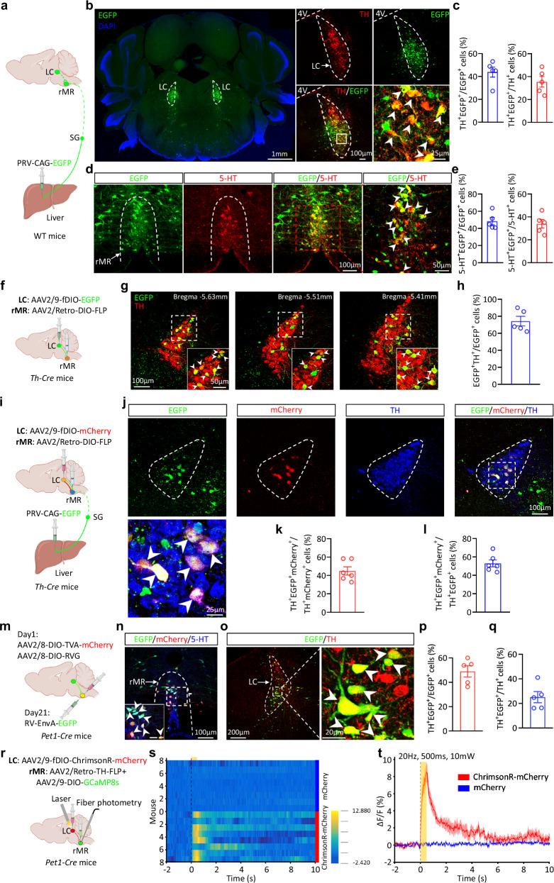 https://cdn.ncbi.nlm.nih.gov/pmc/blobs/2bcc/11605118/a1f956e6f81a/41467_2024_54827_Fig2_HTML.jpg