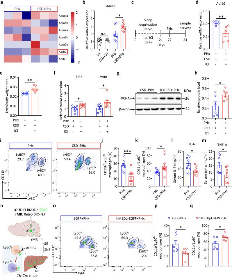 https://cdn.ncbi.nlm.nih.gov/pmc/blobs/2bcc/11605118/b2d20f23a1e1/41467_2024_54827_Fig7_HTML.jpg