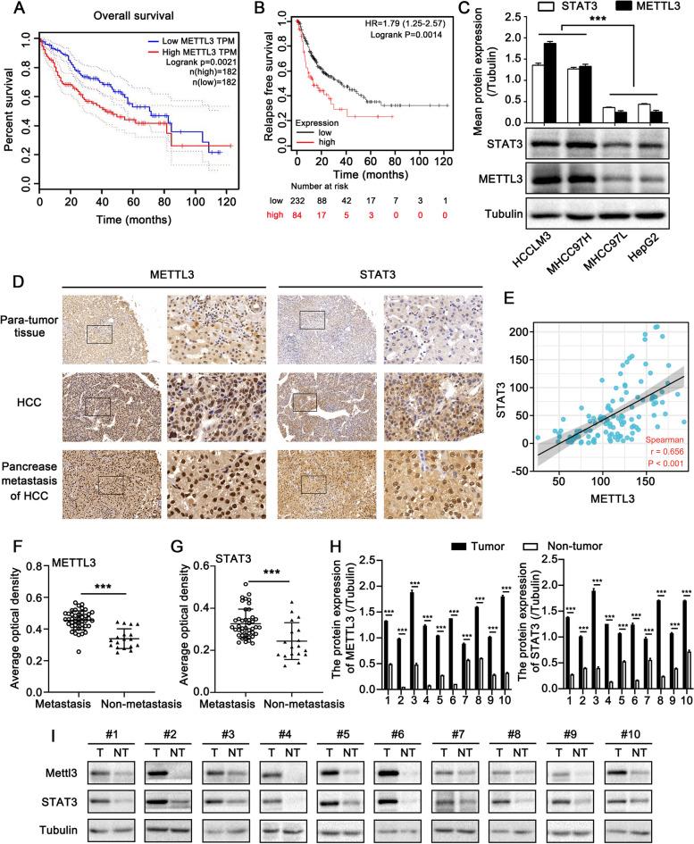 https://cdn.ncbi.nlm.nih.gov/pmc/blobs/2bcd/10210303/f22fb9a28aed/12964_2023_1148_Fig1_HTML.jpg