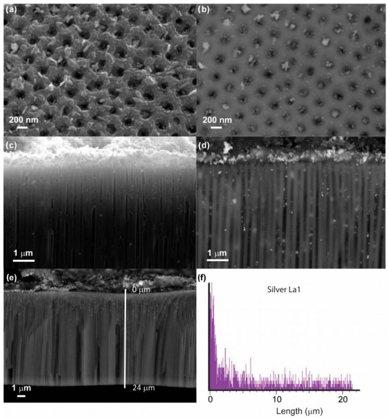 https://cdn.ncbi.nlm.nih.gov/pmc/blobs/2bce/10058674/357bc2dd6cef/nanomaterials-13-01002-g004.jpg