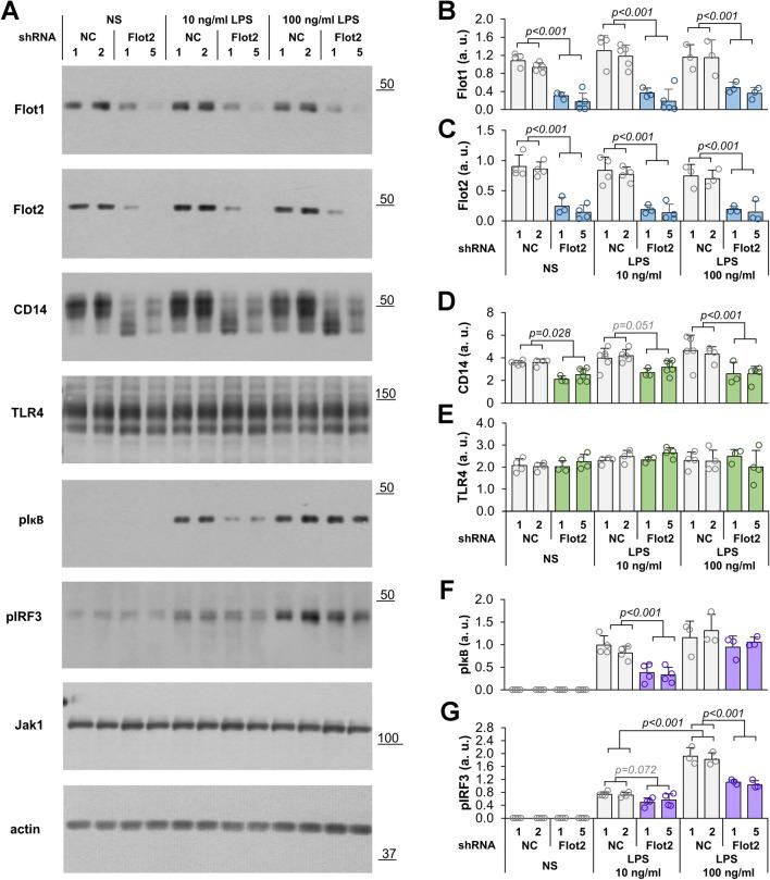 https://cdn.ncbi.nlm.nih.gov/pmc/blobs/2bce/11072259/101f2db8f991/18_2024_5221_Fig3_HTML.jpg