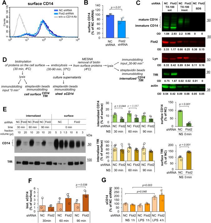 https://cdn.ncbi.nlm.nih.gov/pmc/blobs/2bce/11072259/356e8a490ffc/18_2024_5221_Fig6_HTML.jpg