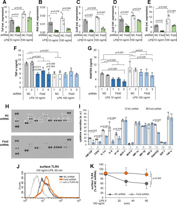 https://cdn.ncbi.nlm.nih.gov/pmc/blobs/2bce/11072259/4585ffa7b5c4/18_2024_5221_Fig4_HTML.jpg
