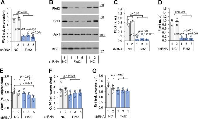 https://cdn.ncbi.nlm.nih.gov/pmc/blobs/2bce/11072259/749840a12b3b/18_2024_5221_Fig2_HTML.jpg