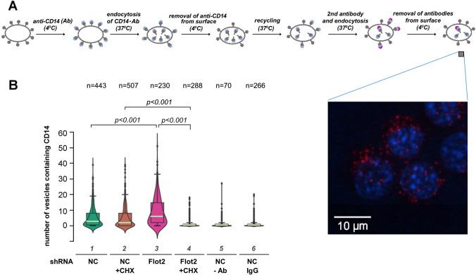 https://cdn.ncbi.nlm.nih.gov/pmc/blobs/2bce/11072259/a768b79b4d5b/18_2024_5221_Fig7_HTML.jpg