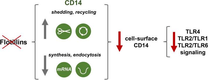 https://cdn.ncbi.nlm.nih.gov/pmc/blobs/2bce/11072259/c1a6d59ceaec/18_2024_5221_Fig10_HTML.jpg