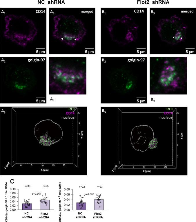 https://cdn.ncbi.nlm.nih.gov/pmc/blobs/2bce/11072259/c38b84cd0f64/18_2024_5221_Fig9_HTML.jpg