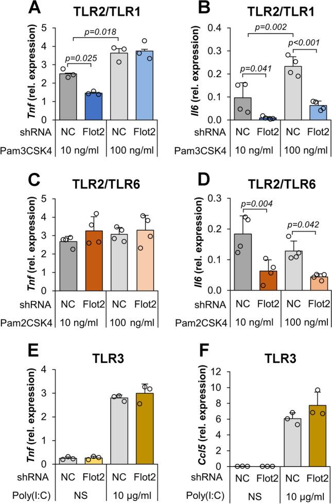 https://cdn.ncbi.nlm.nih.gov/pmc/blobs/2bce/11072259/dafe2b792389/18_2024_5221_Fig5_HTML.jpg