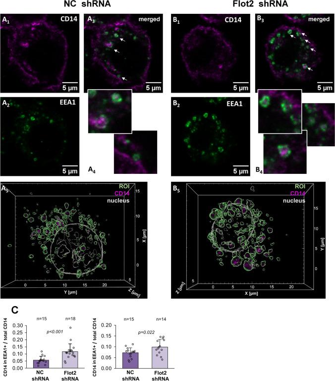 https://cdn.ncbi.nlm.nih.gov/pmc/blobs/2bce/11072259/eba312a9bdab/18_2024_5221_Fig8_HTML.jpg