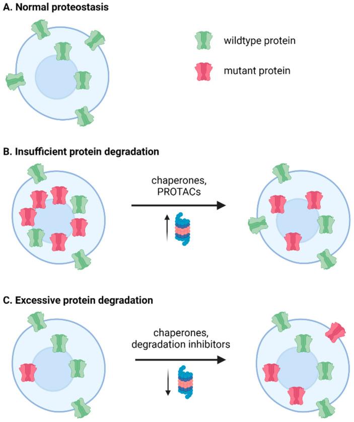 https://cdn.ncbi.nlm.nih.gov/pmc/blobs/2bcf/8945847/d48b3ee3af32/biomedicines-10-00647-g002.jpg