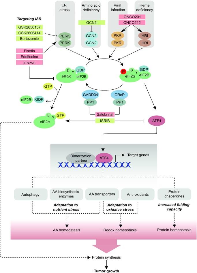 https://cdn.ncbi.nlm.nih.gov/pmc/blobs/2bcf/9615149/ed4ee467e759/zcac031fig3.jpg