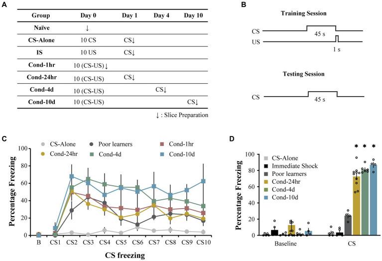 https://cdn.ncbi.nlm.nih.gov/pmc/blobs/2bd0/10590925/5f3c83a30642/fncel-17-1221176-g001.jpg