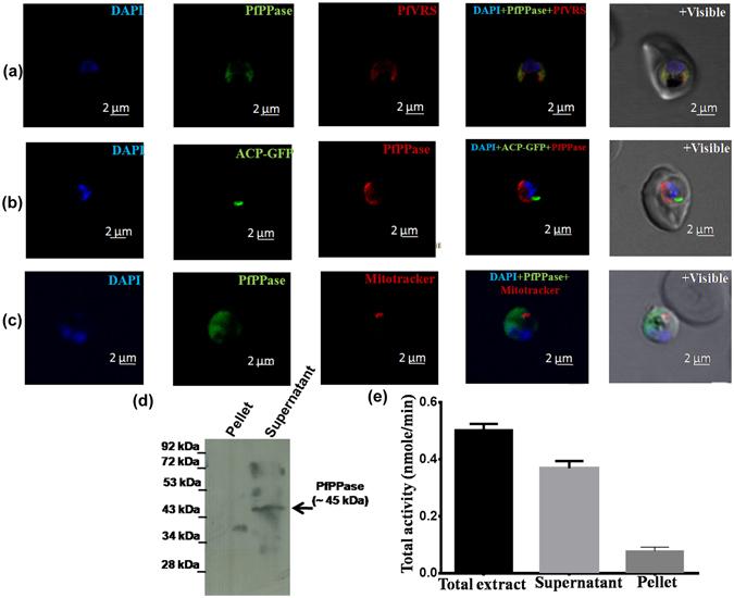 https://cdn.ncbi.nlm.nih.gov/pmc/blobs/2bd1/5507929/d70a32cbba37/41598_2017_5234_Fig2_HTML.jpg