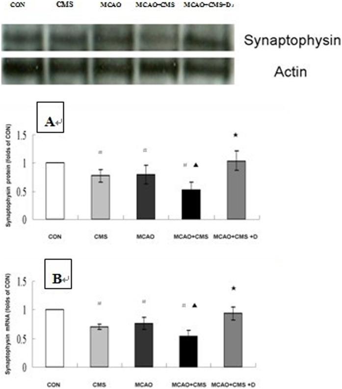 https://cdn.ncbi.nlm.nih.gov/pmc/blobs/2bd2/3415399/d21413e9e03b/pone.0042828.g003.jpg