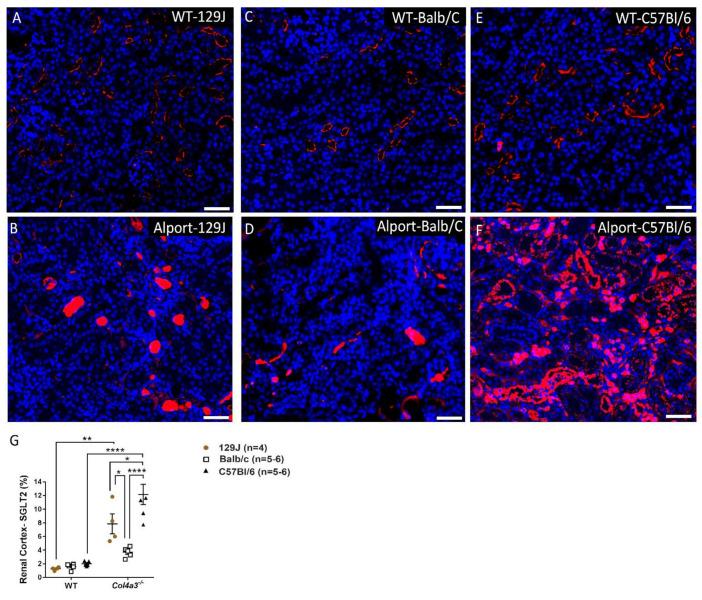https://cdn.ncbi.nlm.nih.gov/pmc/blobs/2bd2/9223785/8ab8ea4bee10/ijms-23-06674-g009.jpg