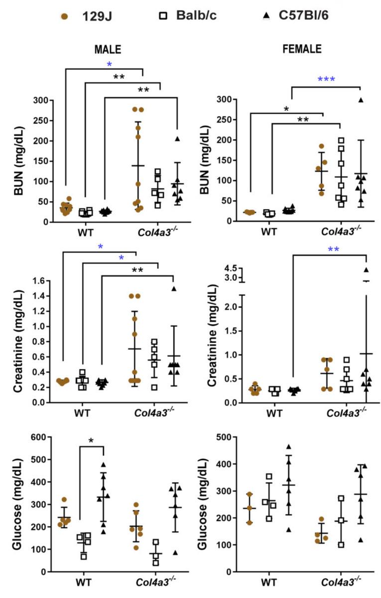https://cdn.ncbi.nlm.nih.gov/pmc/blobs/2bd2/9223785/f2f90340debe/ijms-23-06674-g007.jpg