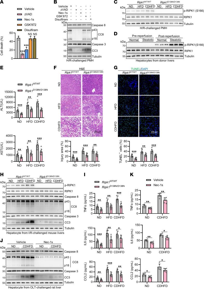 https://cdn.ncbi.nlm.nih.gov/pmc/blobs/2bd3/11213514/2002dcd53d77/jci-134-180451-g060.jpg