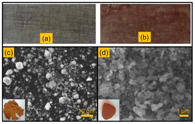 https://cdn.ncbi.nlm.nih.gov/pmc/blobs/2bdb/11479200/096b8a4ab966/polymers-16-02793-g001.jpg