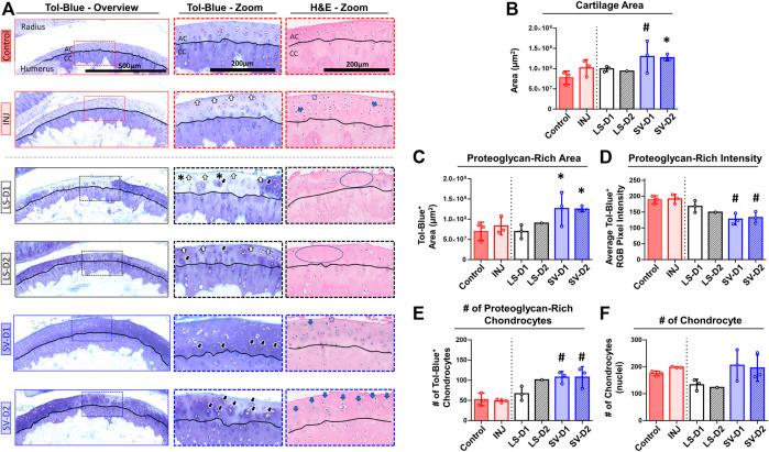 https://cdn.ncbi.nlm.nih.gov/pmc/blobs/2bdb/8899197/baf8b4acccb8/fbioe-10-803403-g005.jpg