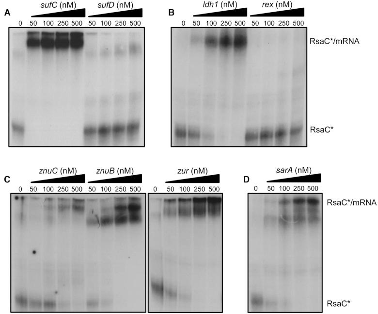 https://cdn.ncbi.nlm.nih.gov/pmc/blobs/2bdd/6765141/ad377bfd85eb/gkz728fig6.jpg