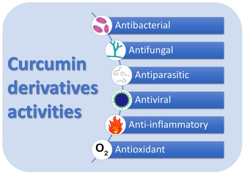 https://cdn.ncbi.nlm.nih.gov/pmc/blobs/2bdf/11596437/bc12eb52e10a/molecules-29-05321-g001.jpg