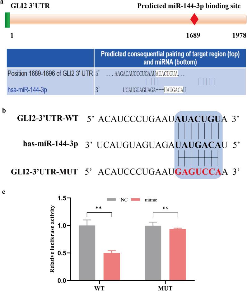 https://cdn.ncbi.nlm.nih.gov/pmc/blobs/2bdf/8521984/a53586a601ba/12967_2021_3093_Fig4_HTML.jpg