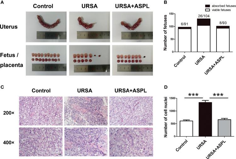 https://cdn.ncbi.nlm.nih.gov/pmc/blobs/2be0/8732860/f37799e284d1/fimmu-12-782792-g002.jpg