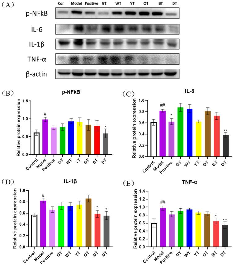 https://cdn.ncbi.nlm.nih.gov/pmc/blobs/2be0/8912361/b21d3e33196e/nutrients-14-00972-g005.jpg