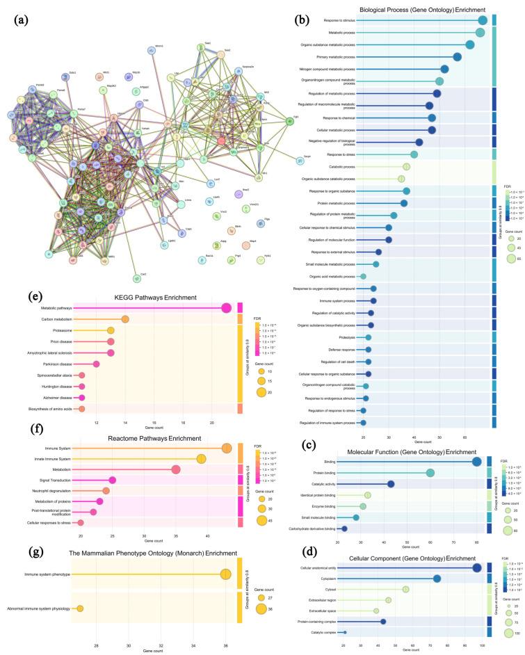 https://cdn.ncbi.nlm.nih.gov/pmc/blobs/2be2/12388226/b69f3bf5d1cc/microorganisms-13-01750-g005.jpg