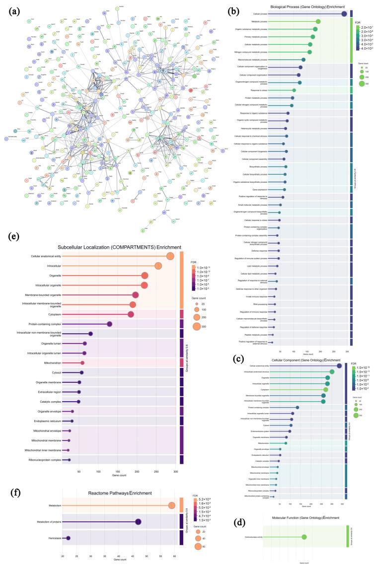 https://cdn.ncbi.nlm.nih.gov/pmc/blobs/2be2/12388226/def0bf2486d0/microorganisms-13-01750-g010.jpg