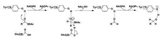 https://cdn.ncbi.nlm.nih.gov/pmc/blobs/2be2/2835699/27cf43feab2f/1472-6807-10-1-6.jpg