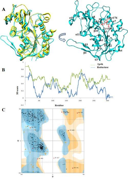 https://cdn.ncbi.nlm.nih.gov/pmc/blobs/2be2/2835699/2fe5481f6141/1472-6807-10-1-3.jpg