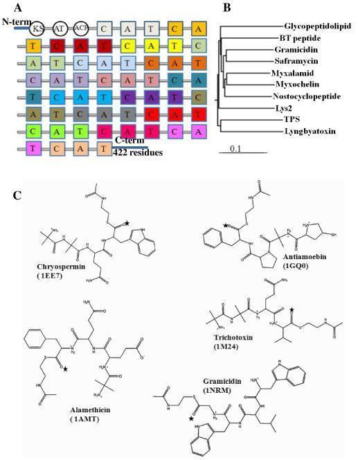 https://cdn.ncbi.nlm.nih.gov/pmc/blobs/2be2/2835699/5c710e172692/1472-6807-10-1-1.jpg