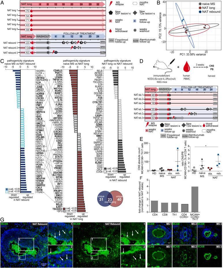 https://cdn.ncbi.nlm.nih.gov/pmc/blobs/2be2/9910615/110ebbeabc84/pnas.2209944120fig05.jpg