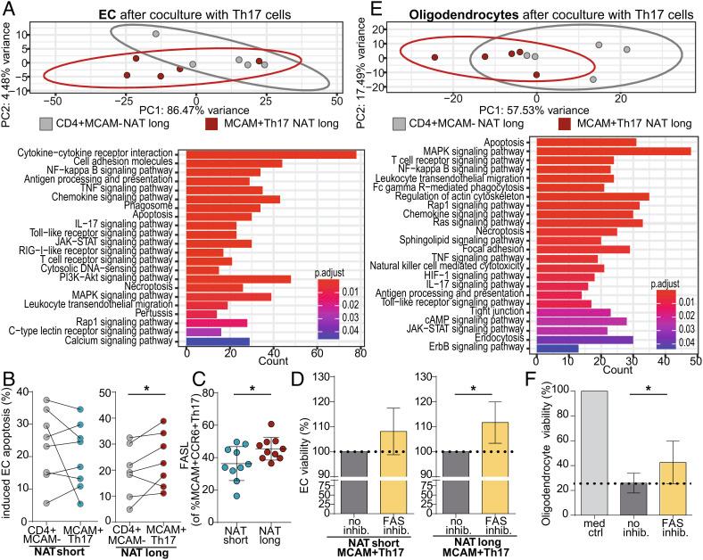 https://cdn.ncbi.nlm.nih.gov/pmc/blobs/2be2/9910615/78f0ffdda1fa/pnas.2209944120fig04.jpg