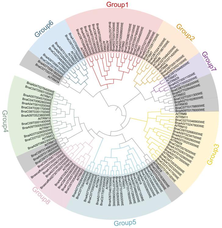 https://cdn.ncbi.nlm.nih.gov/pmc/blobs/2be4/12197291/ba7f9e582b5c/plants-14-01858-g001.jpg