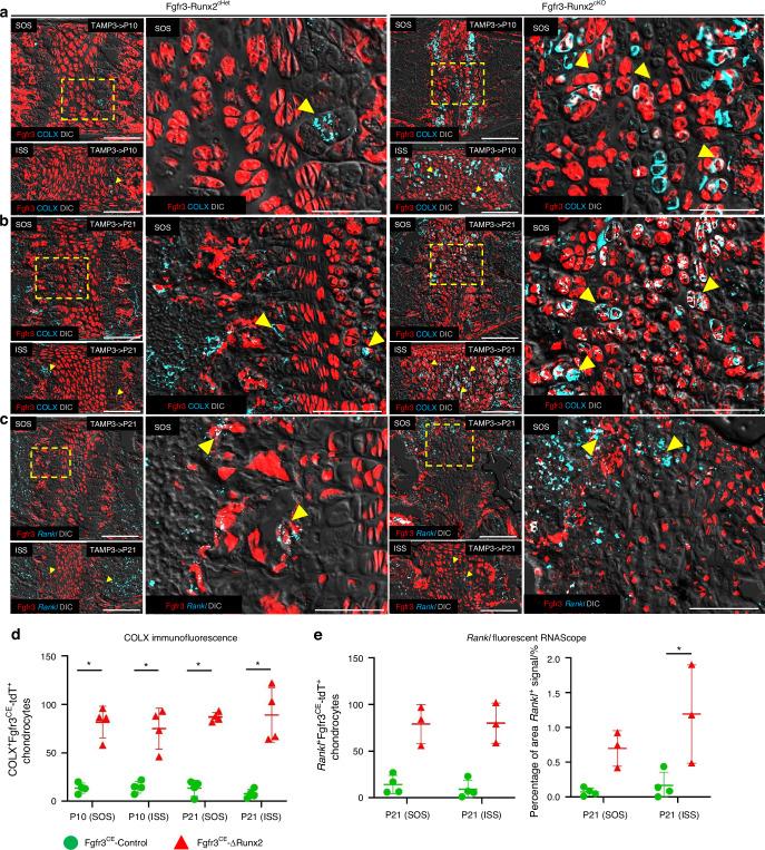 https://cdn.ncbi.nlm.nih.gov/pmc/blobs/2be5/12122814/779a23dd0acf/41413_2025_426_Fig6_HTML.jpg