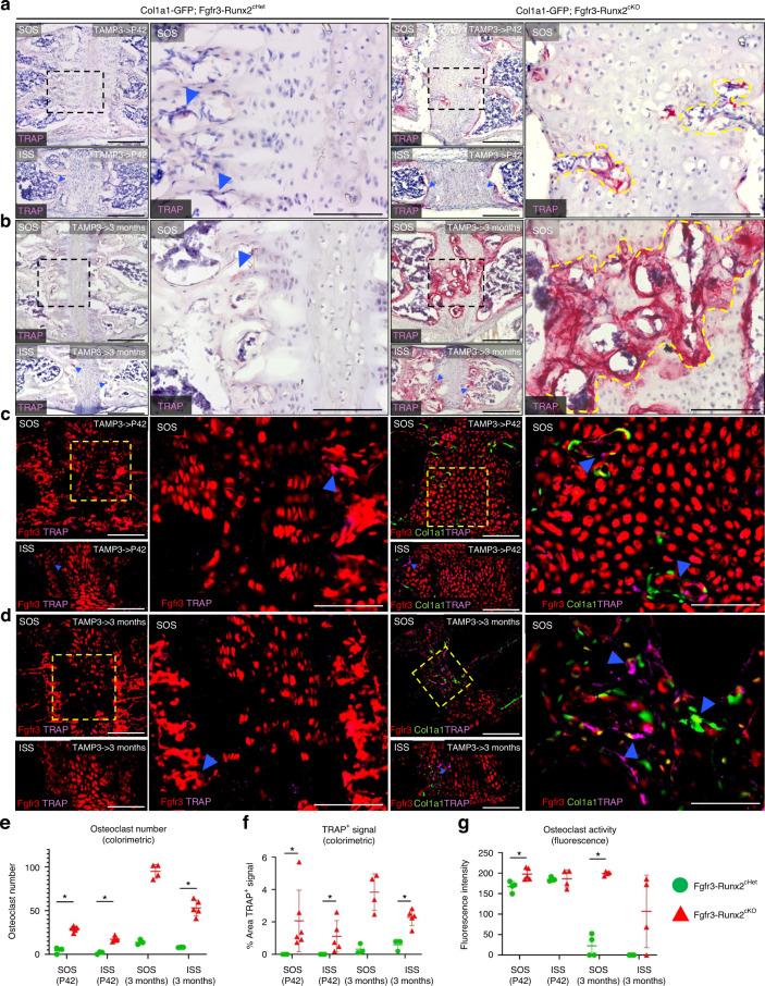 https://cdn.ncbi.nlm.nih.gov/pmc/blobs/2be5/12122814/add4628631be/41413_2025_426_Fig7_HTML.jpg
