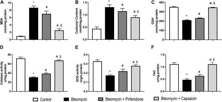 https://cdn.ncbi.nlm.nih.gov/pmc/blobs/2be8/10915016/0fa10f4f5017/fphar-15-1333715-g004.jpg