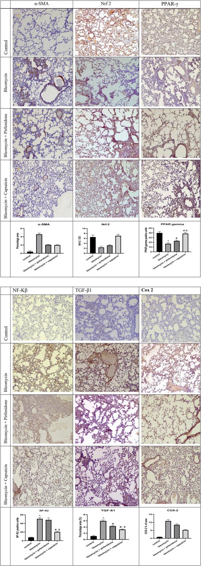 https://cdn.ncbi.nlm.nih.gov/pmc/blobs/2be8/10915016/572f64c36471/fphar-15-1333715-g007.jpg