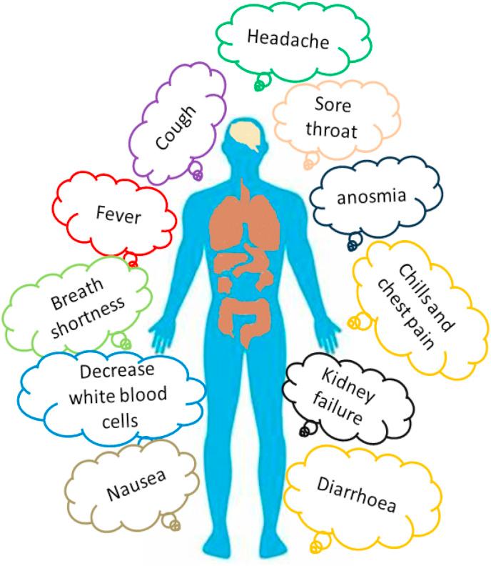 https://cdn.ncbi.nlm.nih.gov/pmc/blobs/2be9/7253980/92d344ac0fca/gr2_lrg.jpg