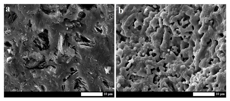 https://cdn.ncbi.nlm.nih.gov/pmc/blobs/2be9/7288306/a22e5a8aae2e/materials-13-02395-g011.jpg