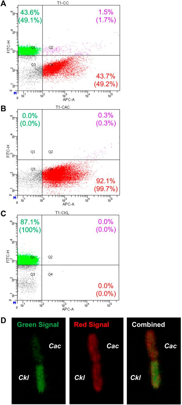 https://cdn.ncbi.nlm.nih.gov/pmc/blobs/2be9/9441933/6d5891c87e48/fbioe-10-965614-g005.jpg