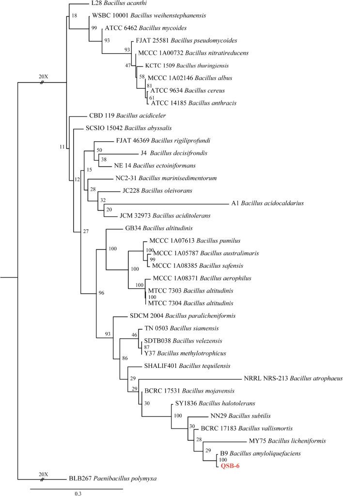 https://cdn.ncbi.nlm.nih.gov/pmc/blobs/2bea/8482014/05120a6ed445/fmicb-12-746799-g001.jpg